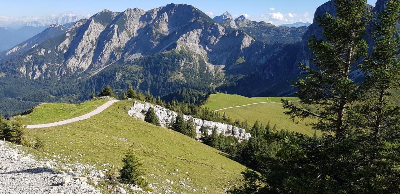 Ferienwohnungen Wolf - Pfronten Mitte, Exteriör bild